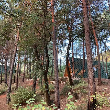 Sens Kaş
