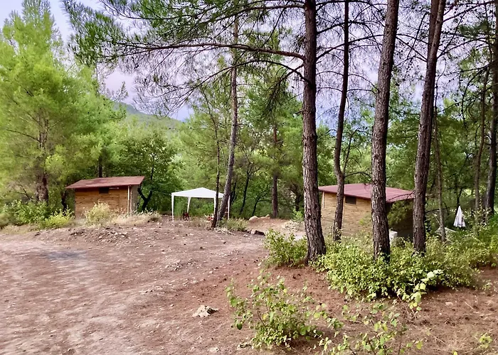 Sens 3* Kaş