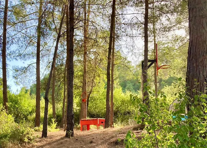 Sens Oda ve Kahvaltı Kaş