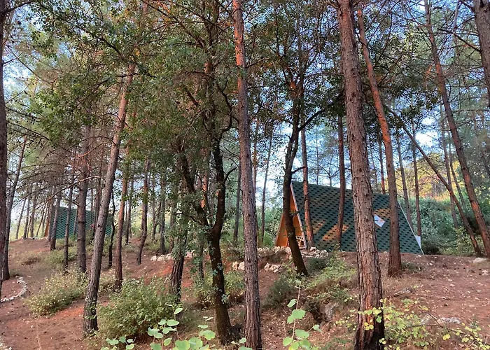 Sens Kaş