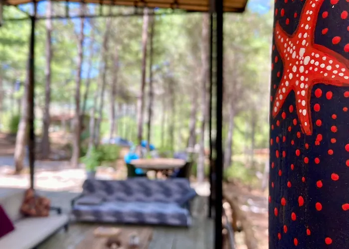 Sens 3* Kaş