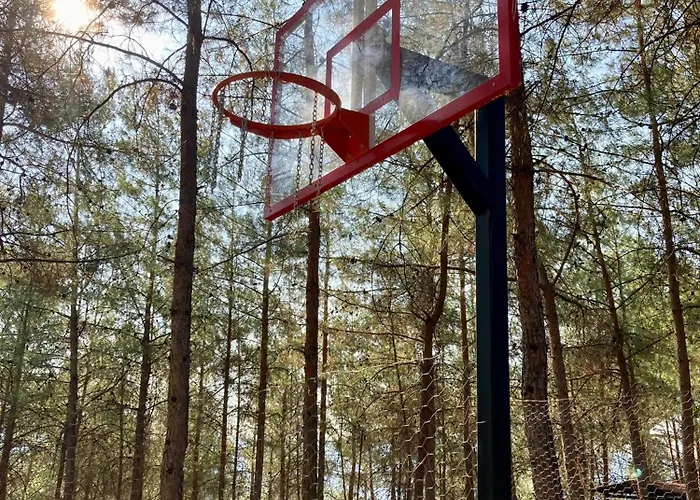 Sens Oda ve Kahvaltı 3*
