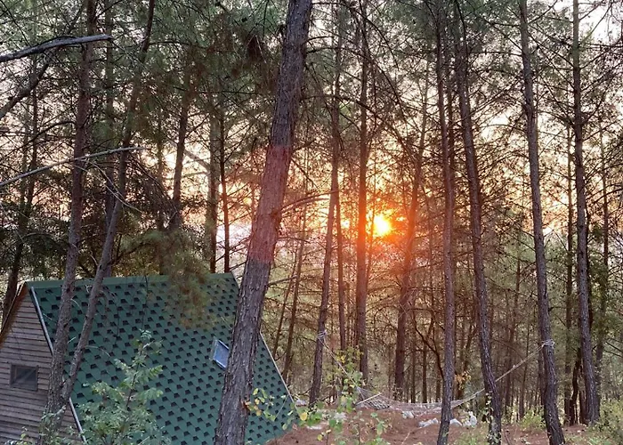 Sens Oda ve Kahvaltı Kaş