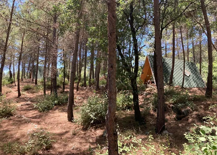 Sens Oda ve Kahvaltı