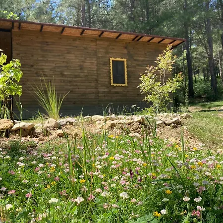 Sens לינה וארוחת בוקר 3*