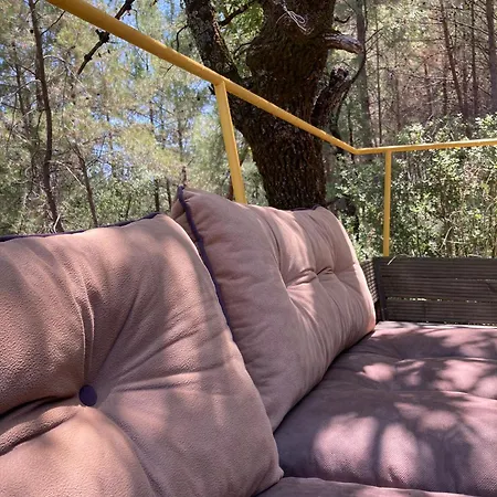 לינה וארוחת בוקר Sens קס