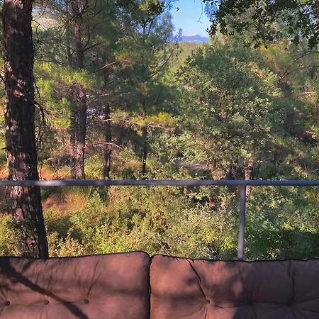 לינה וארוחת בוקר Sens קס