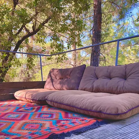 לינה וארוחת בוקר Sens