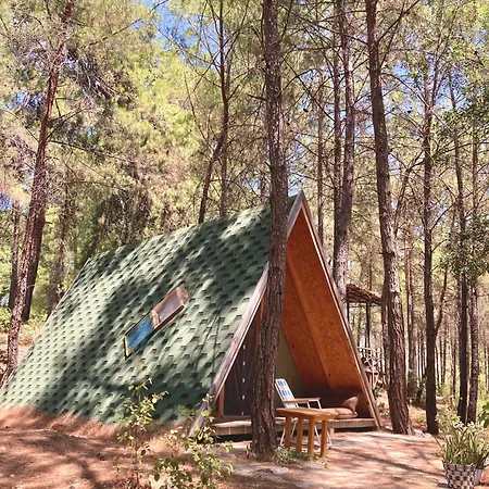 לינה וארוחת בוקר Sens