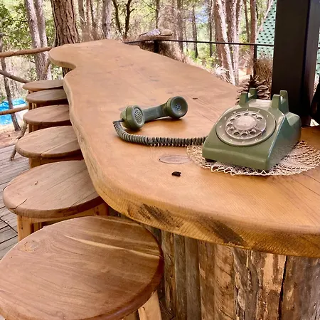 Sens לינה וארוחת בוקר