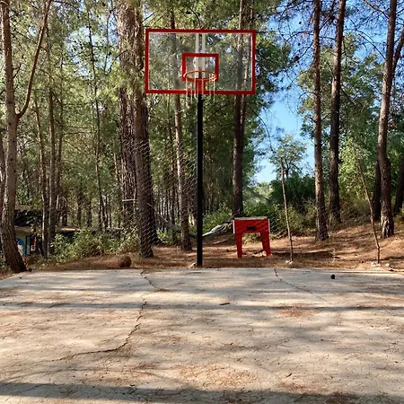 לינה וארוחת בוקר Sens קס