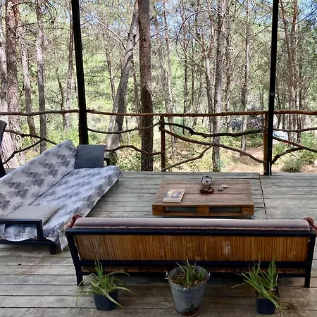 לינה וארוחת בוקר Sens