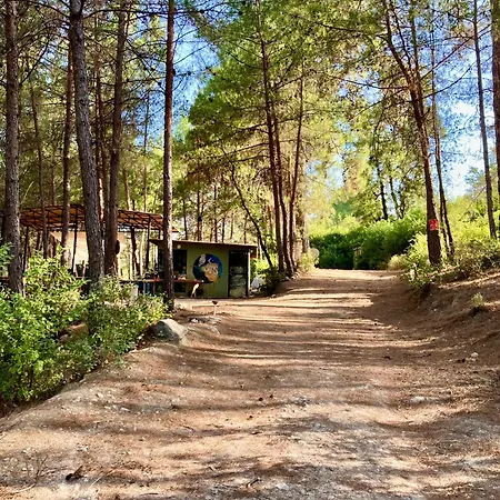 לינה וארוחת בוקר Sens 3*