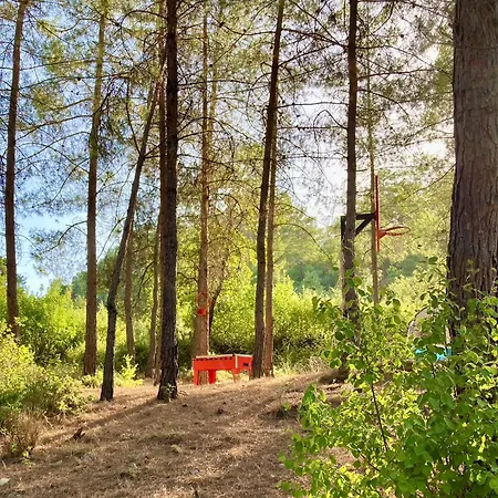 Sens לינה וארוחת בוקר קס