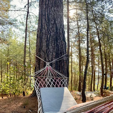 לינה וארוחת בוקר Sens