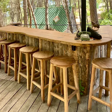 לינה וארוחת בוקר Sens 3*