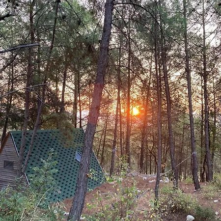 Sens לינה וארוחת בוקר קס