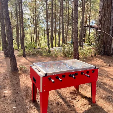 לינה וארוחת בוקר Sens קס