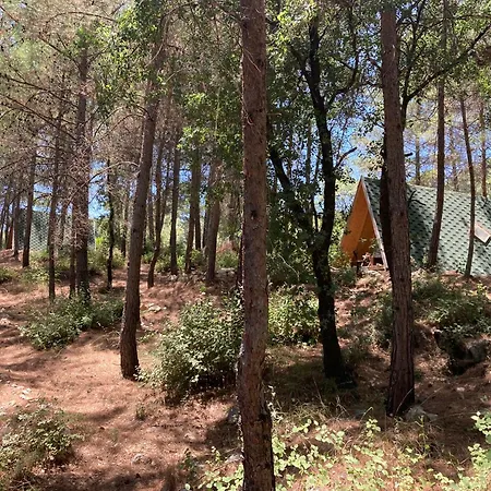 Sens לינה וארוחת בוקר