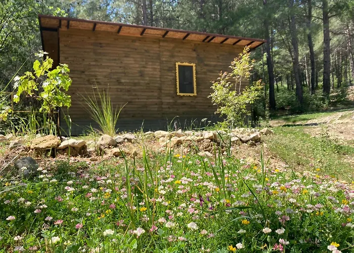 Sens Bed & Breakfast 3*