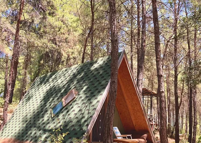 Bed & Breakfast Sens