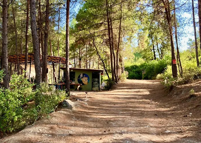Bed & Breakfast Sens 3*