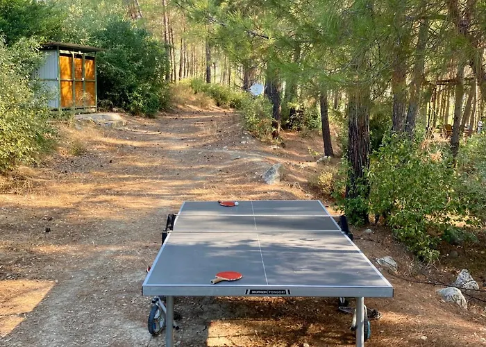 Sens 3* Kaş