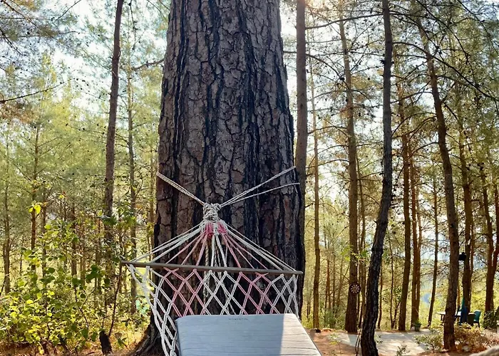 Bed & Breakfast Sens